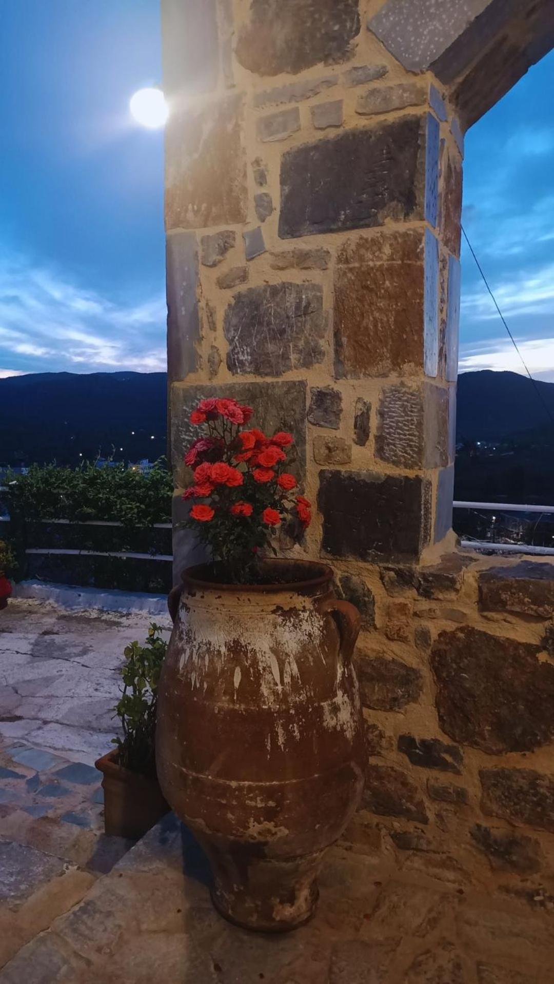 Apartment Roza Stone & *